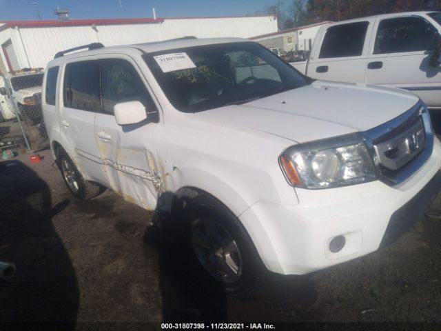 HONDA PILOT 2011 5fnyf4h72bb001276