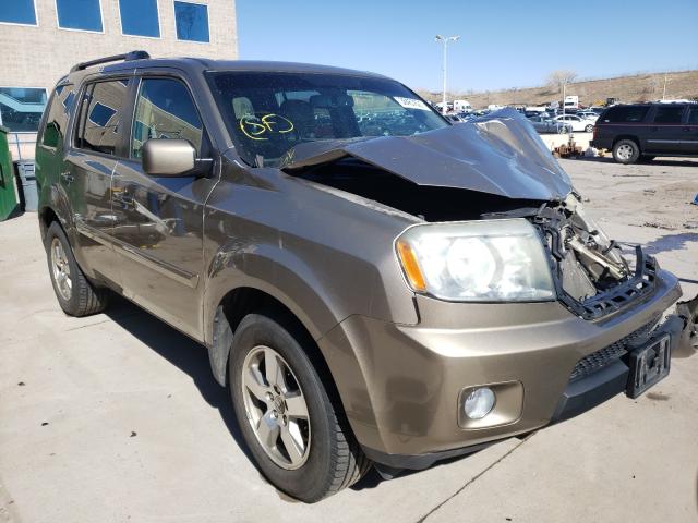 HONDA PILOT EXLN 2011 5fnyf4h72bb002007