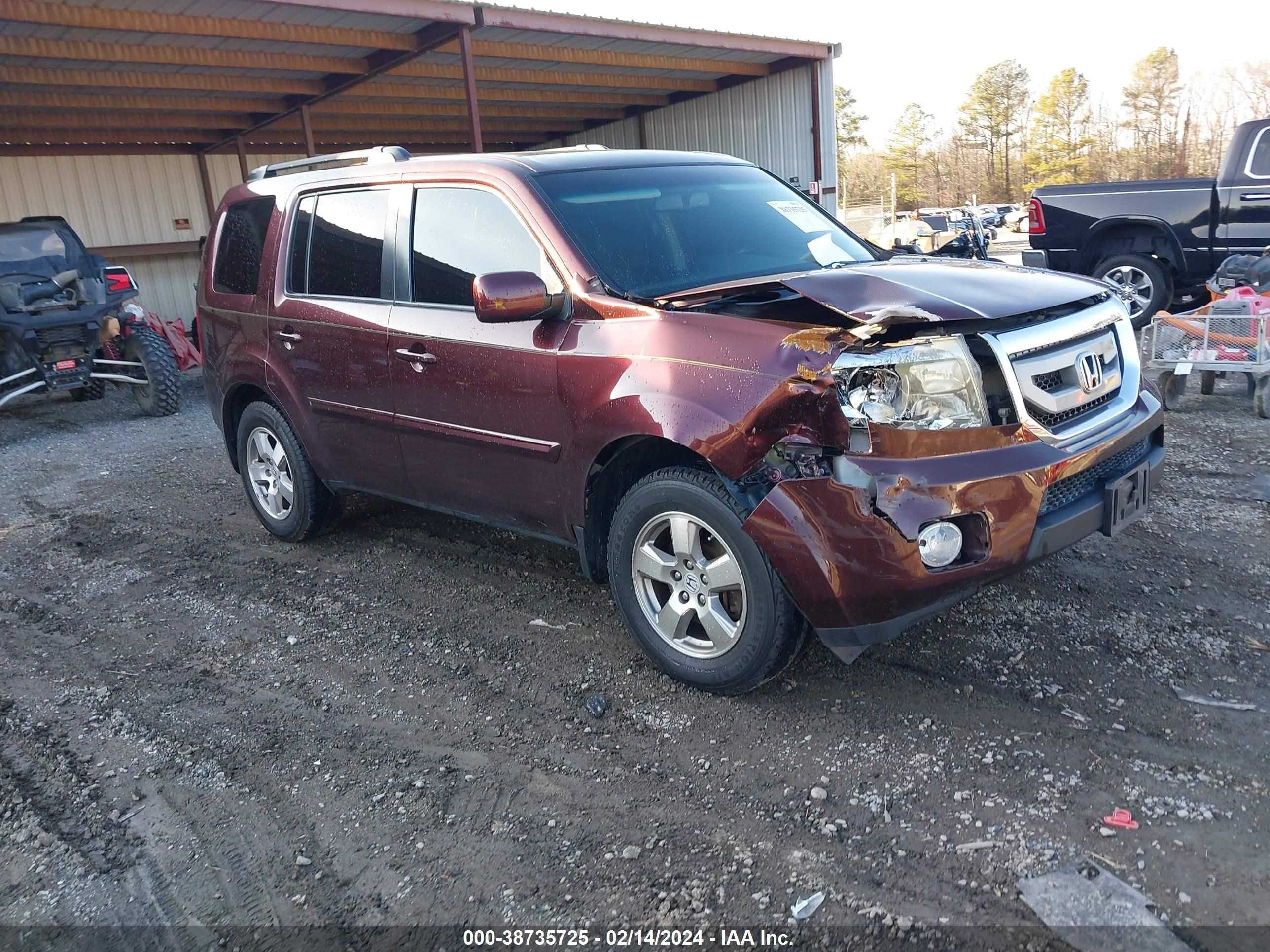 HONDA PILOT 2011 5fnyf4h72bb062031