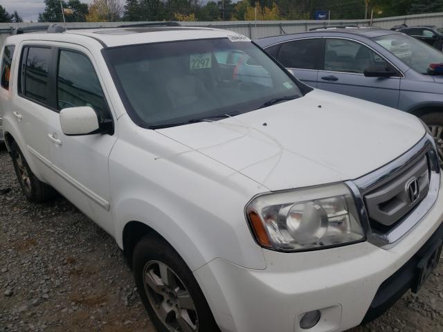 HONDA PILOT EXLN 2011 5fnyf4h73bb007507