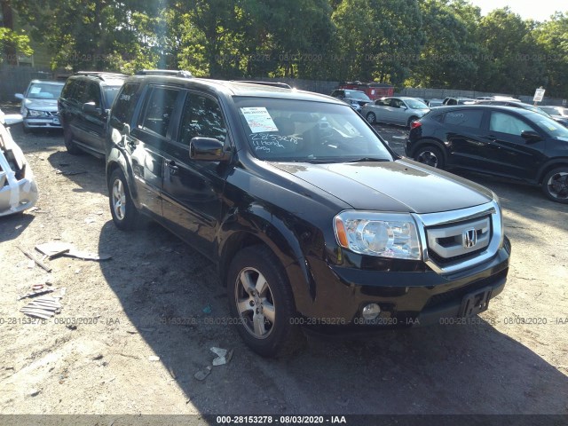 HONDA PILOT 2011 5fnyf4h73bb101600