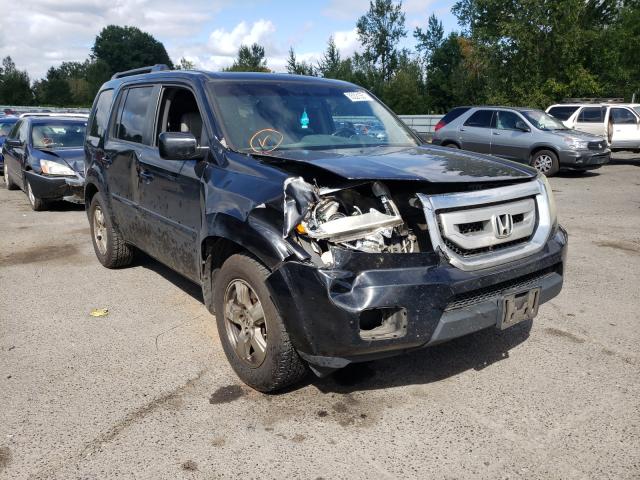 HONDA PILOT EXLN 2011 5fnyf4h74bb056036