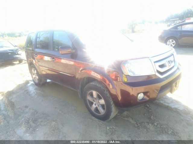 HONDA PILOT 2011 5fnyf4h75bb020789