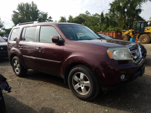 HONDA PILOT 2011 5fnyf4h75bb084637