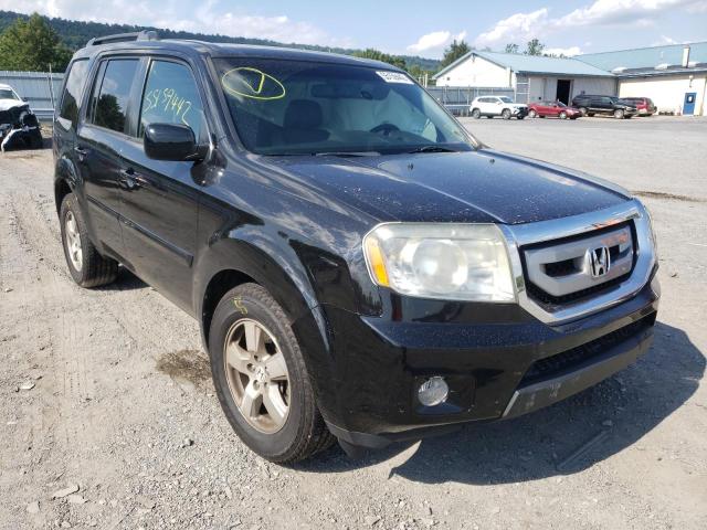 HONDA PILOT EXLN 2011 5fnyf4h76bb083240