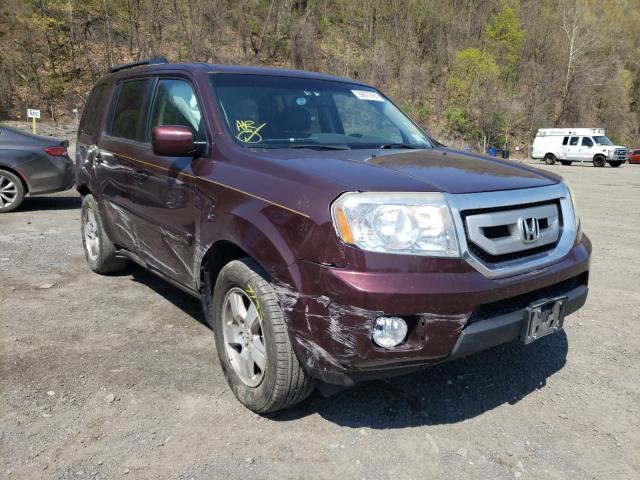 HONDA PILOT EXLN 2011 5fnyf4h76bb092195