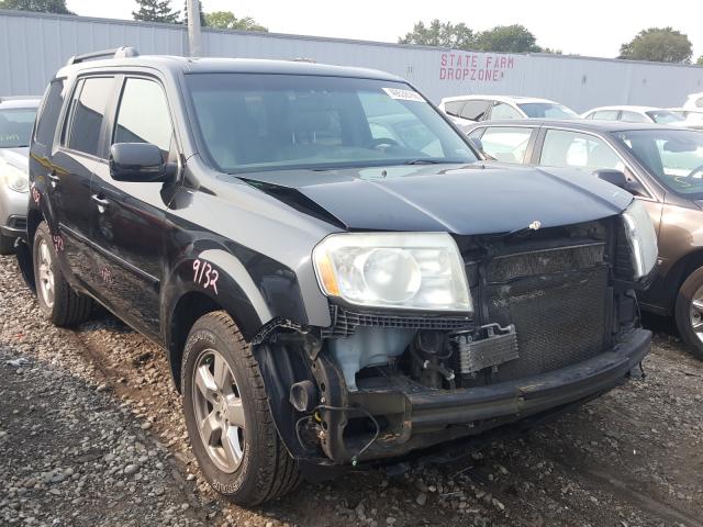 HONDA PILOT EXLN 2011 5fnyf4h77bb021782