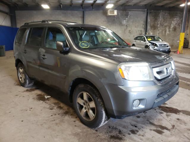 HONDA PILOT EXLN 2011 5fnyf4h78bb051731