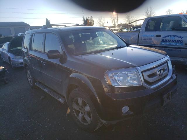 HONDA PILOT EXLN 2011 5fnyf4h7xbb086741