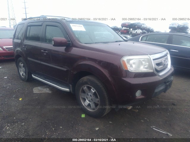 HONDA PILOT 2010 5fnyf4h81ab001342