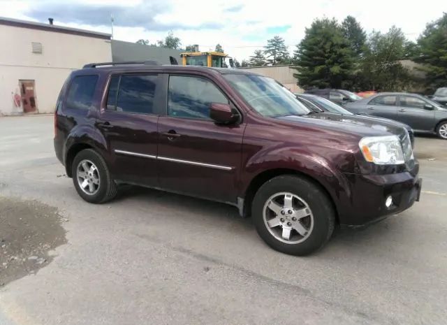 HONDA PILOT 2010 5fnyf4h81ab008789