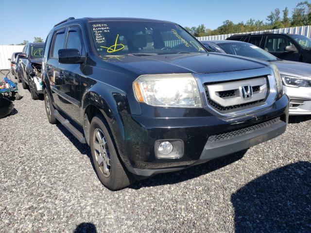 HONDA PILOT TOUR 2010 5fnyf4h81ab012311