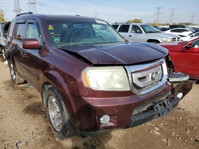 HONDA PILOT TOUR 2010 5fnyf4h81ab032431