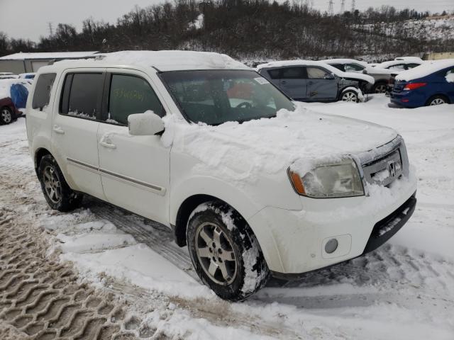 HONDA PILOT TOUR 2010 5fnyf4h84ab006244