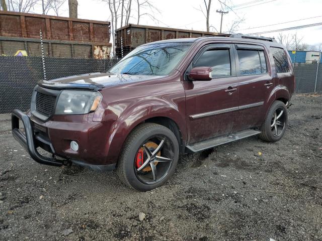 HONDA PILOT TOUR 2010 5fnyf4h85ab001523