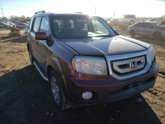 HONDA PILOT TOUR 2010 5fnyf4h85ab032433