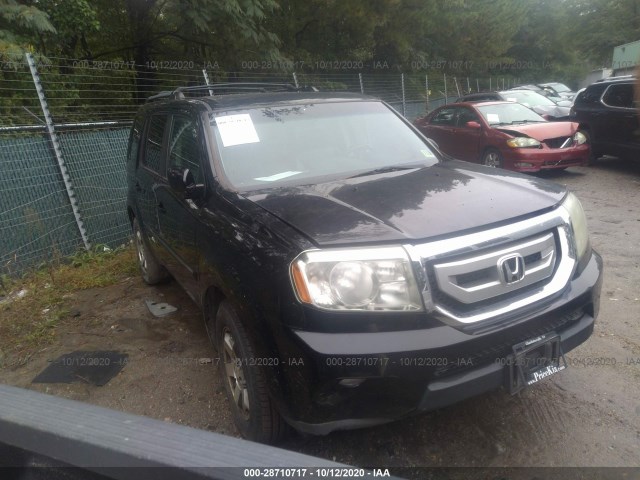 HONDA PILOT 2010 5fnyf4h8xab017443