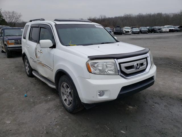 HONDA PILOT TOUR 2010 5fnyf4h90ab006766