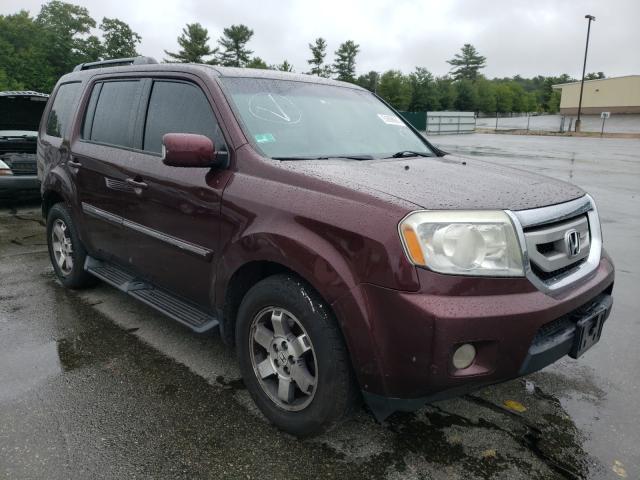 HONDA PILOT TOUR 2010 5fnyf4h90ab040707