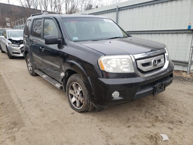 HONDA PILOT TOUR 2010 5fnyf4h91ab025231