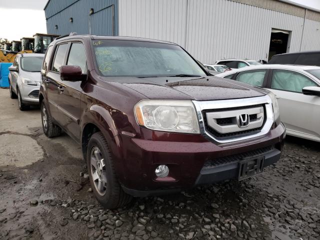 HONDA PILOT TOUR 2010 5fnyf4h91ab040702