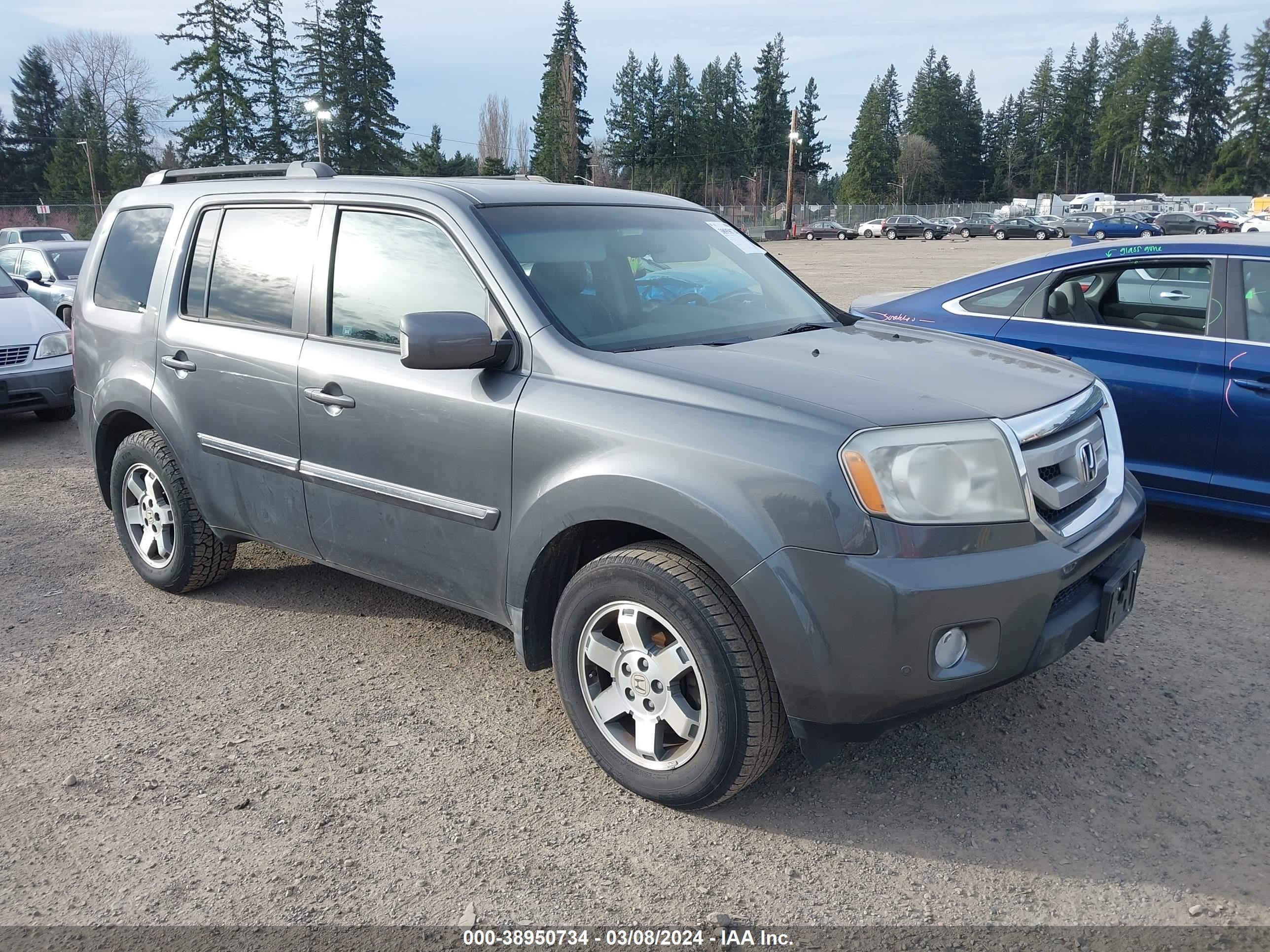 HONDA PILOT 2010 5fnyf4h92ab502295