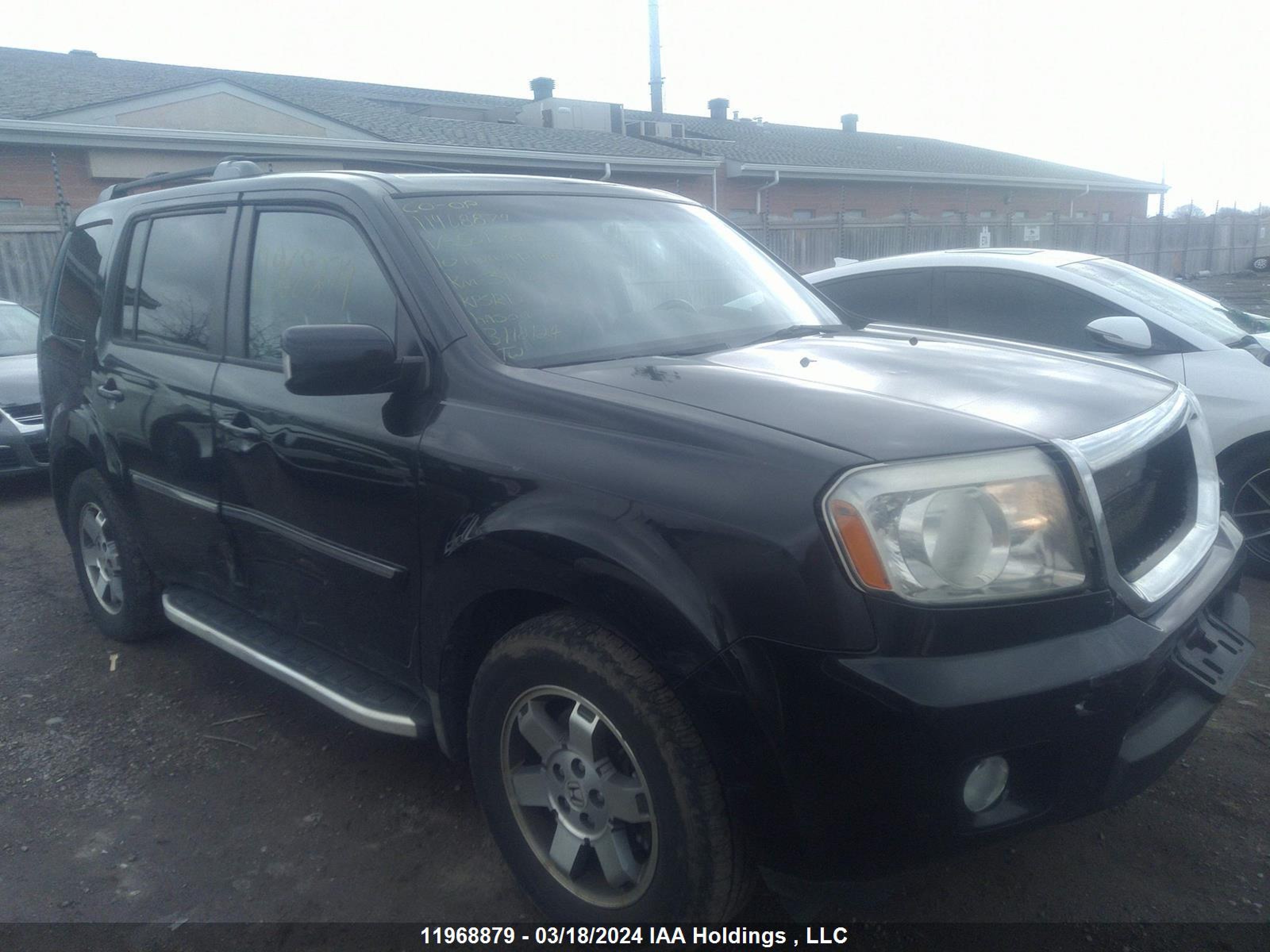 HONDA PILOT 2010 5fnyf4h93ab501785