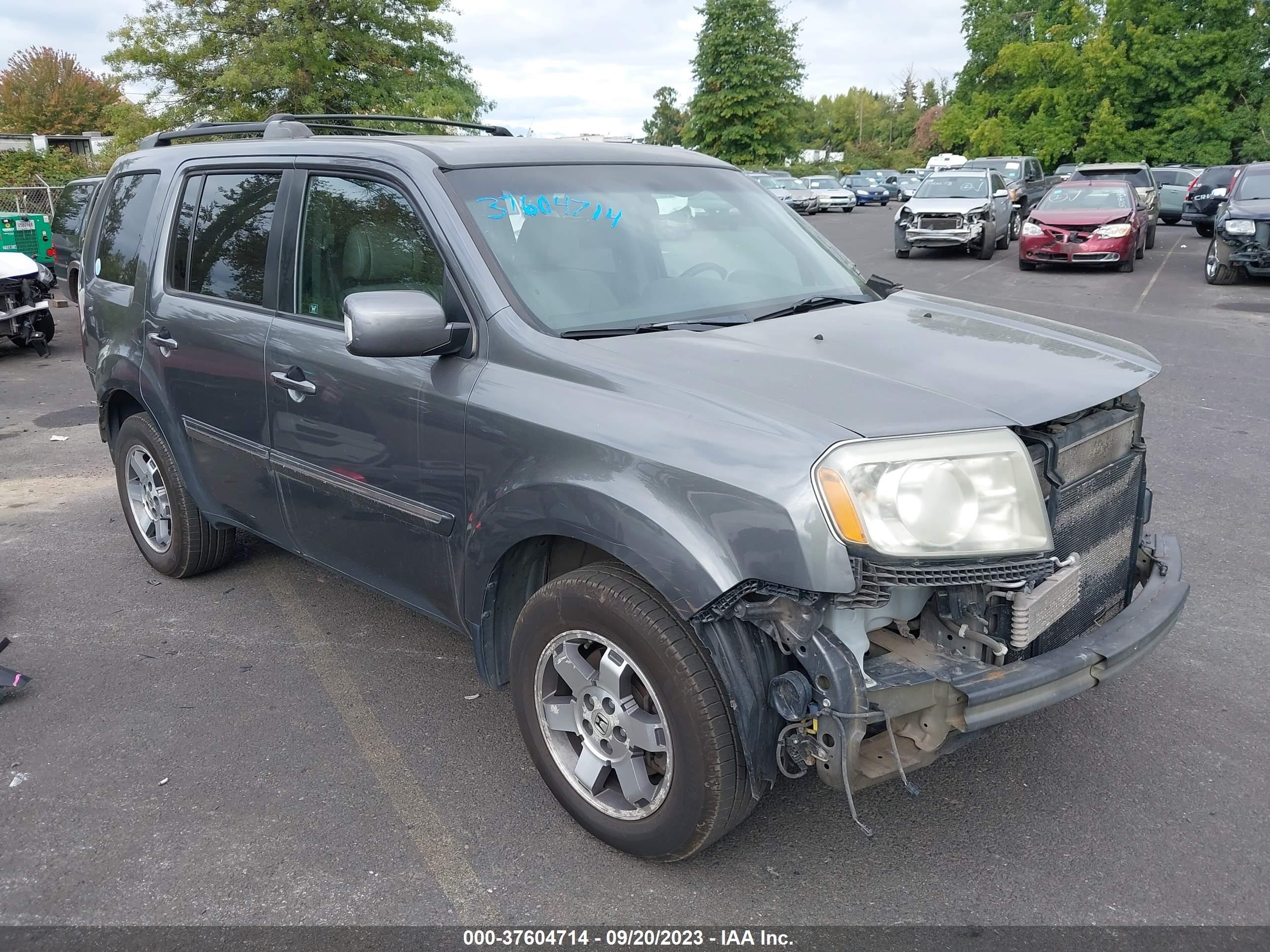 HONDA PILOT 2011 5fnyf4h93bb071113