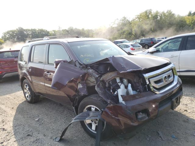 HONDA PILOT TOUR 2010 5fnyf4h96ab004133