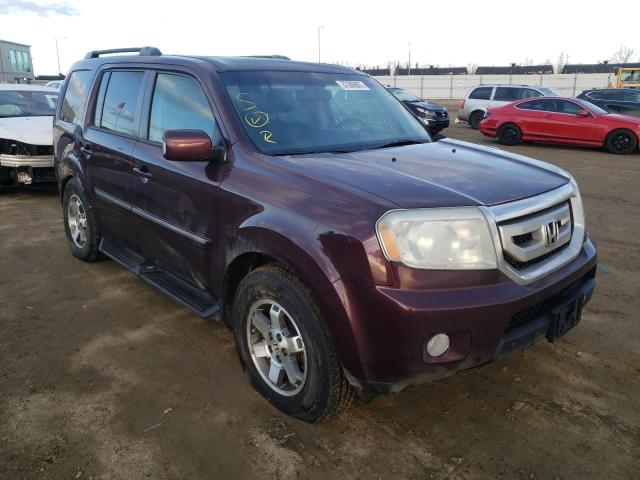 HONDA PILOT TOUR 2010 5fnyf4h98ab502334