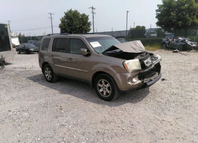 HONDA PILOT 2011 5fnyf4h99bb042151