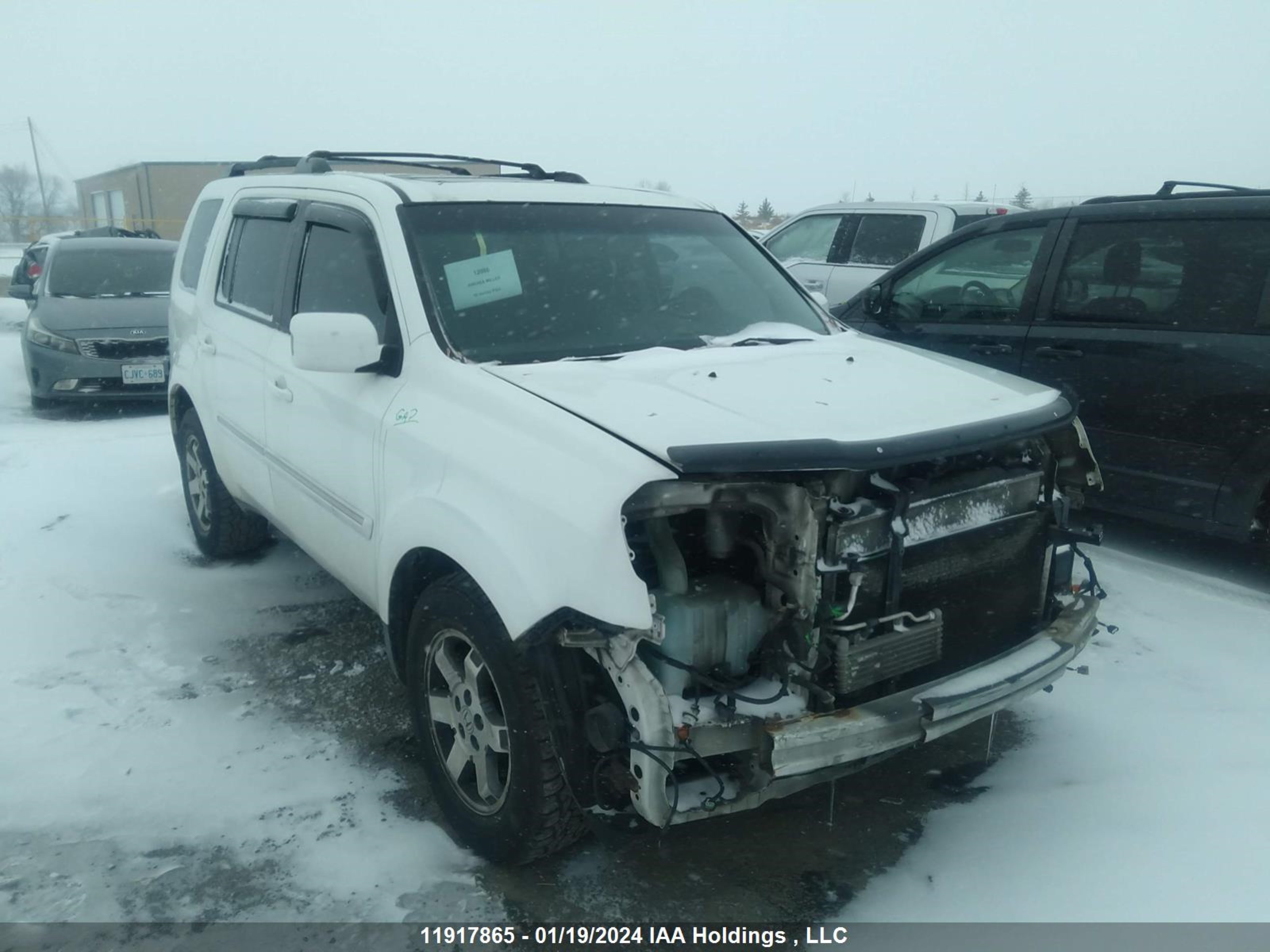 HONDA PILOT 2010 5fnyf4h9xab503596