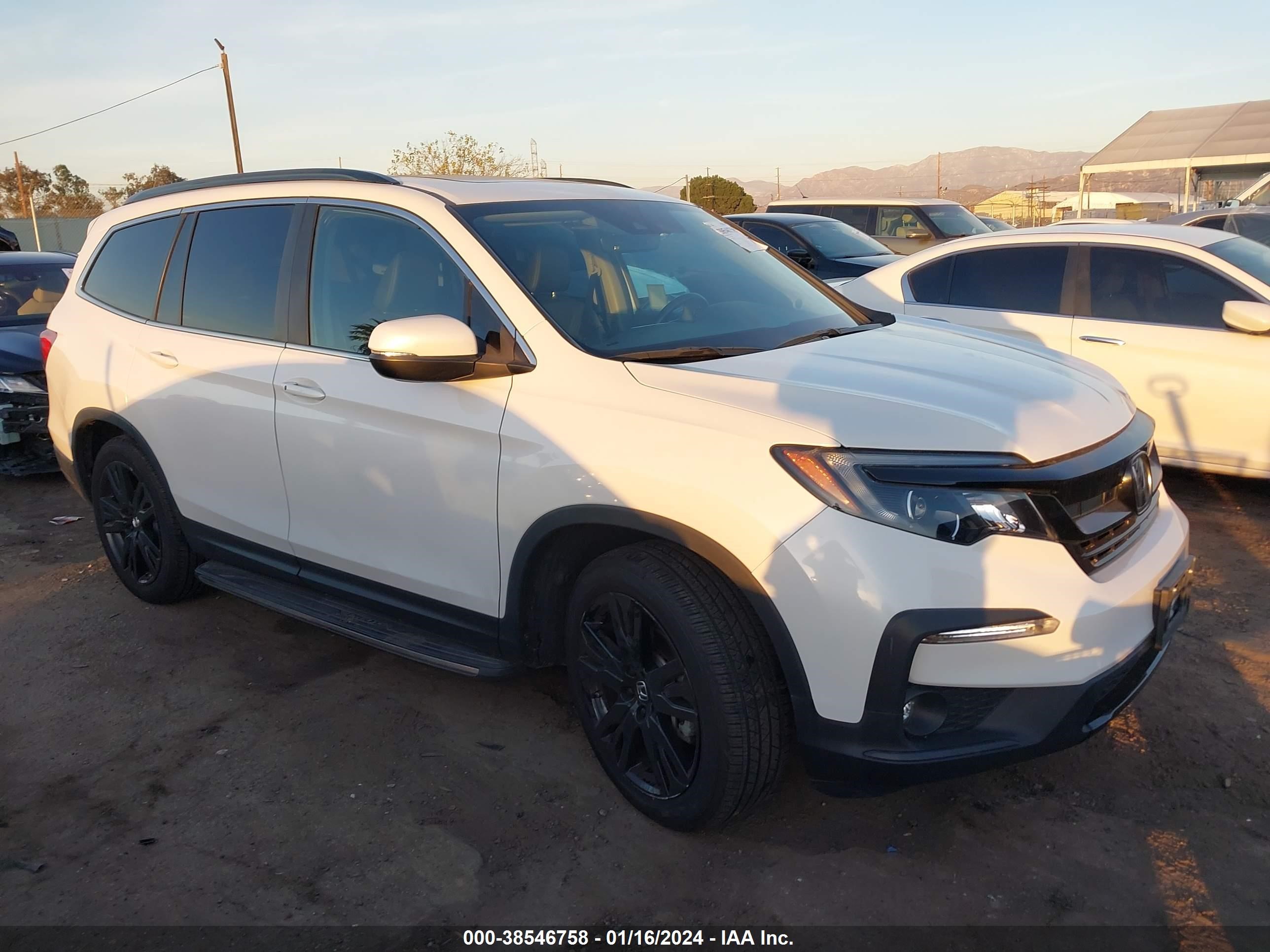 HONDA PILOT 2021 5fnyf5h22mb008144