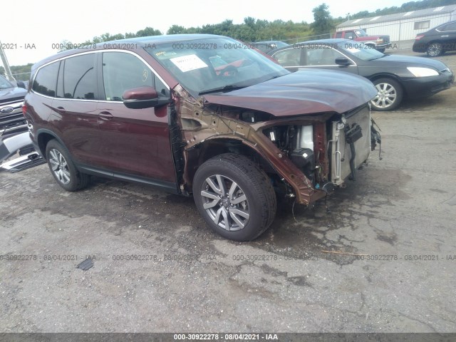 HONDA PILOT 2019 5fnyf5h30kb001926