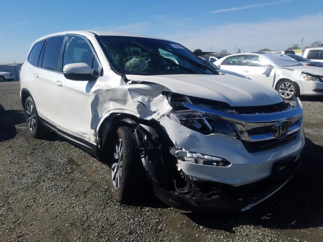 HONDA PILOT EX 2019 5fnyf5h30kb035705