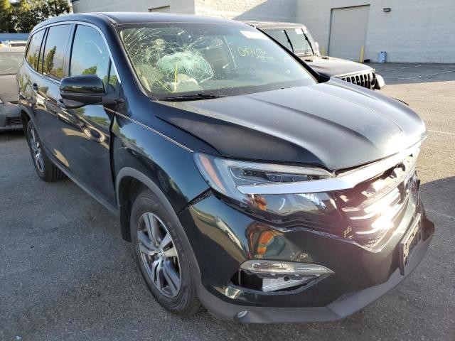 HONDA PILOT EX 2016 5fnyf5h34gb011155