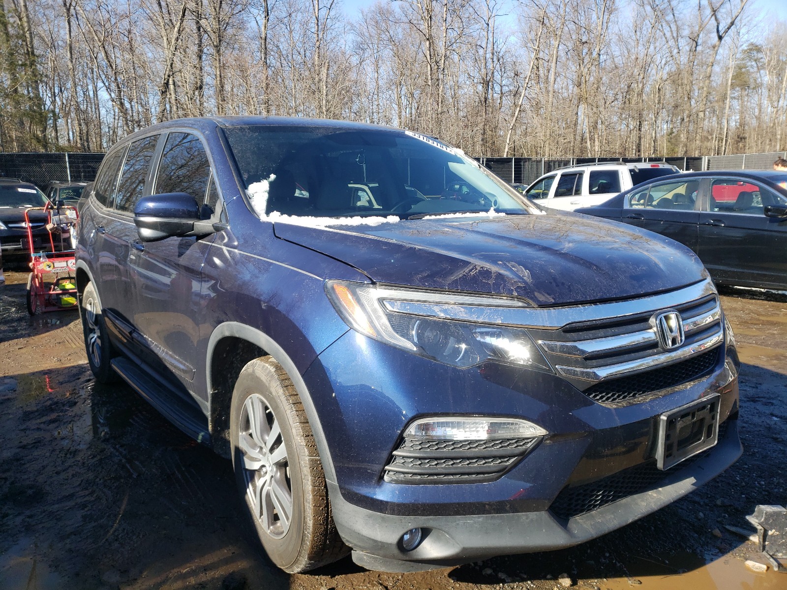 HONDA PILOT EX 2016 5fnyf5h34gb029865