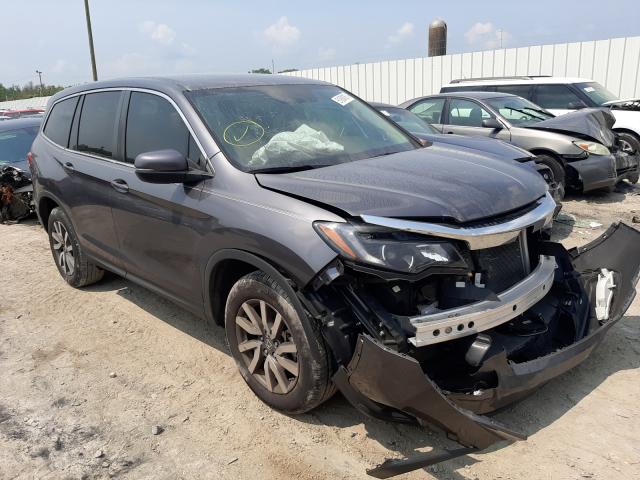 HONDA NULL 2019 5fnyf5h36kb023171