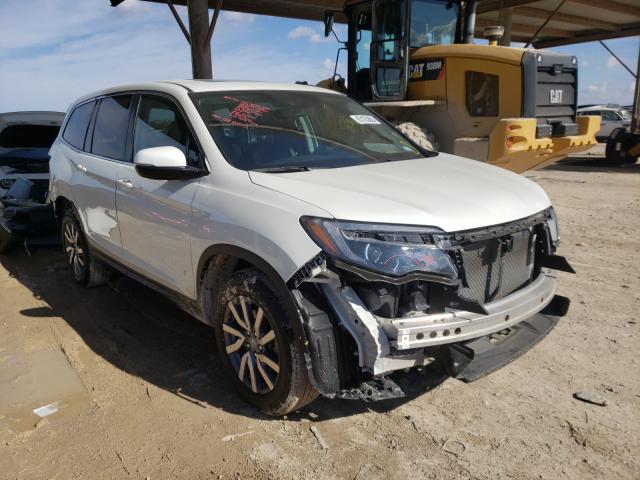 HONDA PILOT EXL 2019 5fnyf5h40kb010893