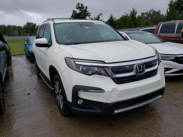 HONDA PILOT EXL 2019 5fnyf5h40kb022929