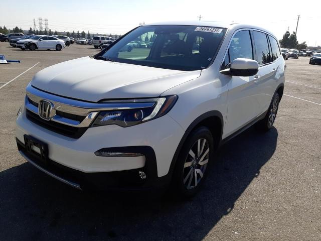 HONDA PILOT EXL 2019 5fnyf5h50kb024351