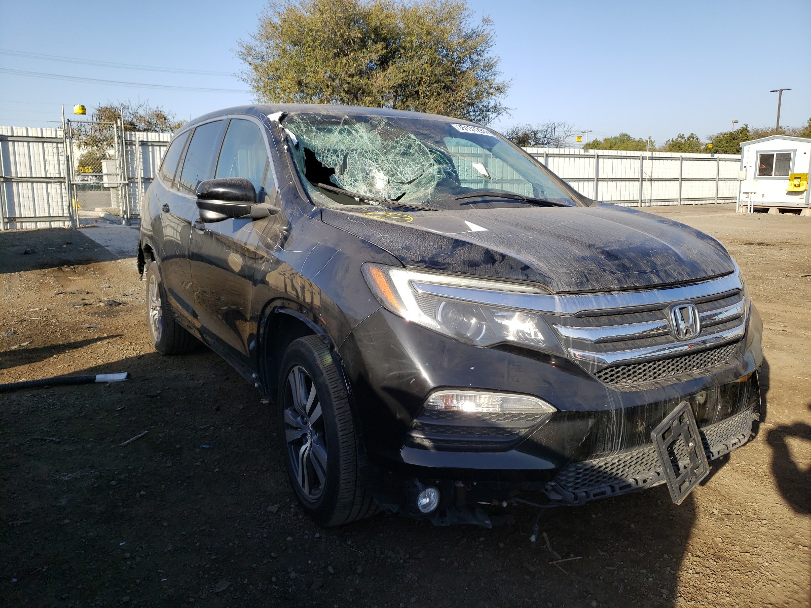 HONDA PILOT 2016 5fnyf5h51gb039402