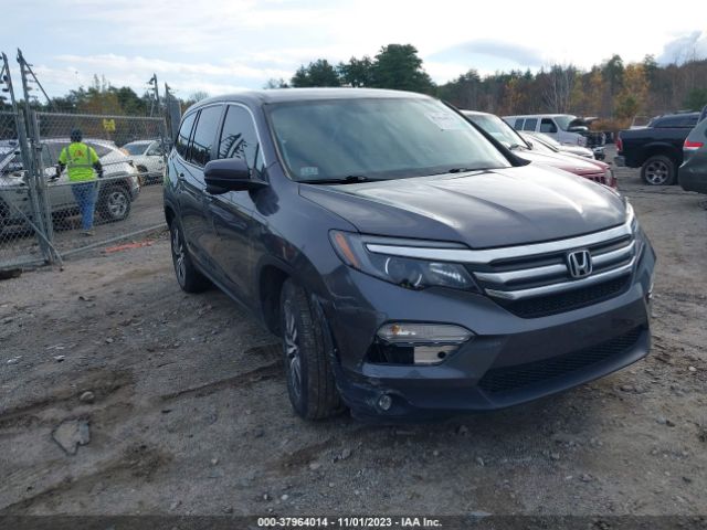 HONDA PILOT 2018 5fnyf5h51jb021859