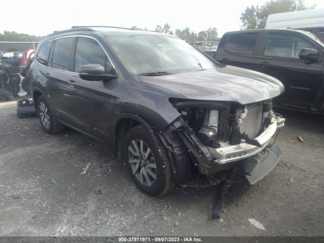 HONDA PILOT 2019 5fnyf5h51kb028022