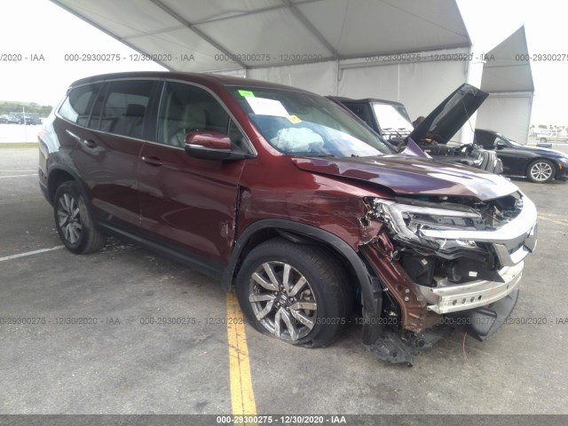 HONDA PILOT 2019 5fnyf5h51kb045564