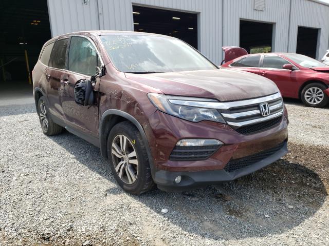 HONDA PILOT EXL 2016 5fnyf5h52gb041823