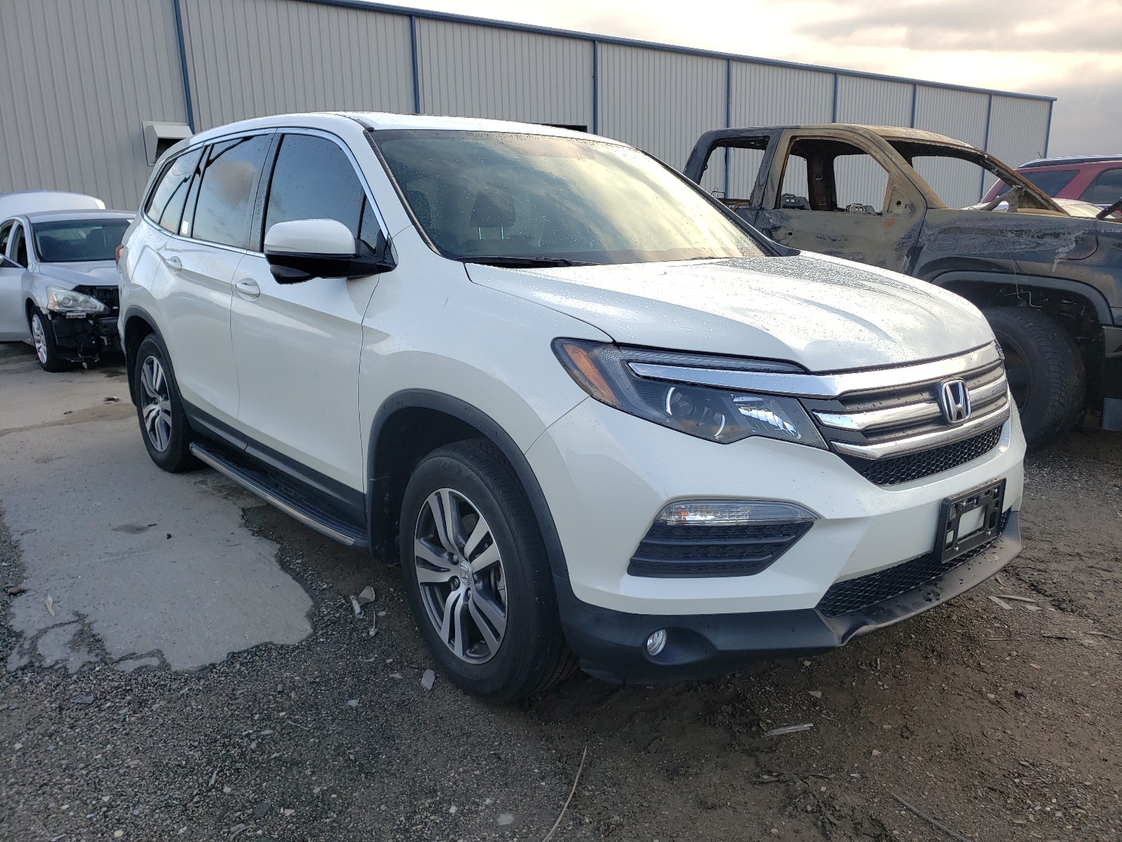 HONDA PILOT EXL 2017 5fnyf5h52hb043654