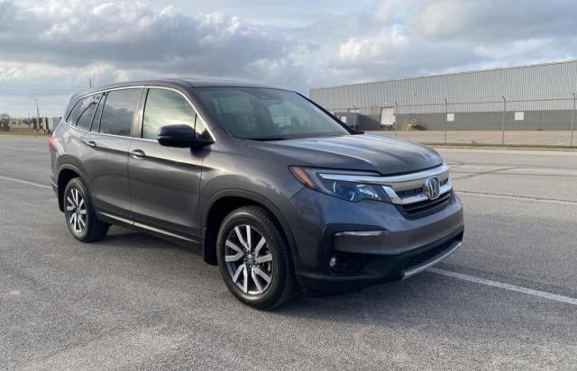 HONDA PILOT EXL 2019 5fnyf5h52kb029230