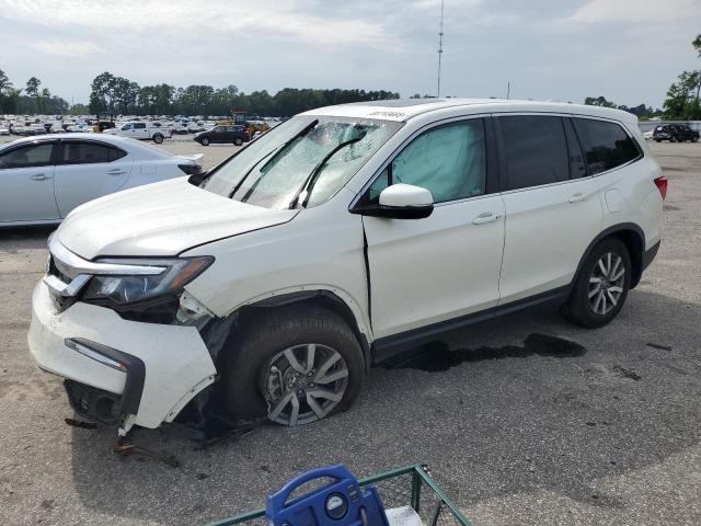 HONDA PILOT EXL 2019 5fnyf5h54kb018620