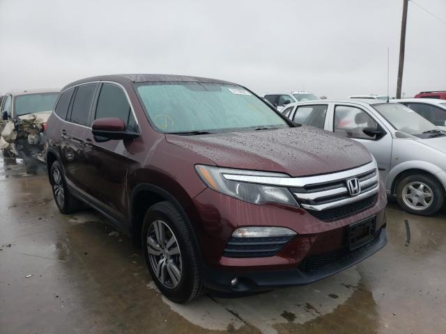 HONDA PILOT EXL 2016 5fnyf5h55gb054310